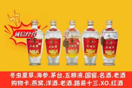 凉山州回收老五粮液
