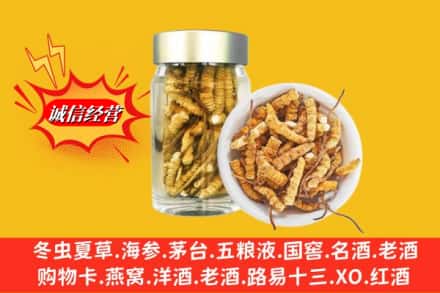 凉山州回收散虫草