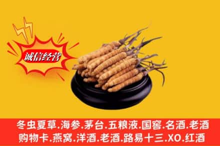 凉山州求购回收虫草多少钱每克